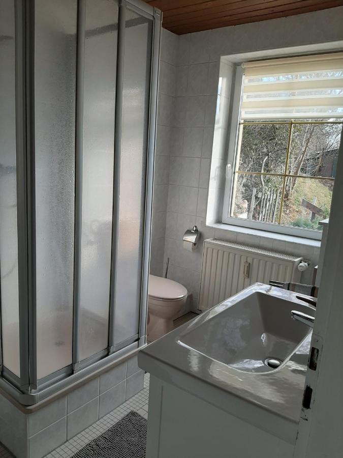Ferienhaus Elbsommer Am Weinberg II Meissen Luaran gambar