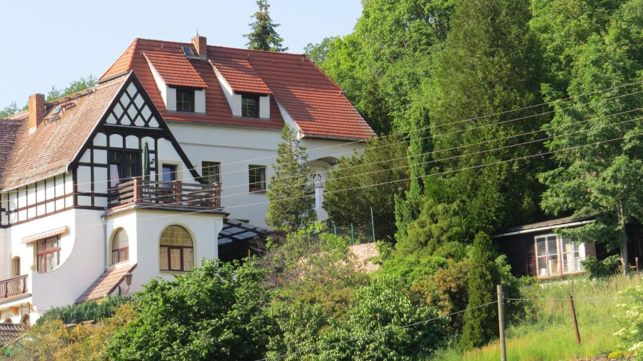 Ferienhaus Elbsommer Am Weinberg II Meissen Luaran gambar