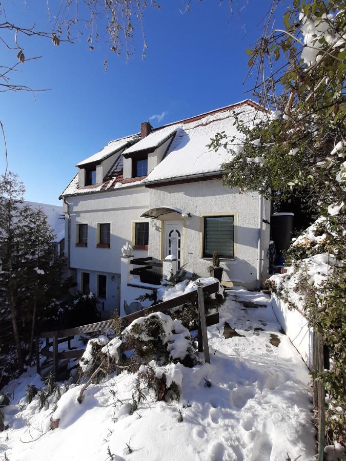 Ferienhaus Elbsommer Am Weinberg II Meissen Luaran gambar