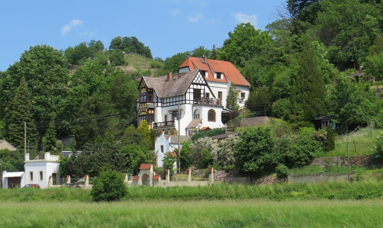 Ferienhaus Elbsommer Am Weinberg II Meissen Luaran gambar